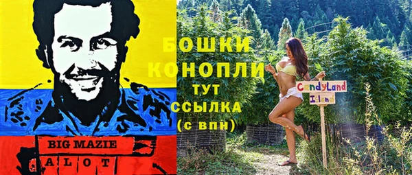 шишки Богданович