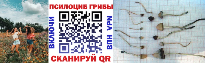Псилоцибиновые грибы ЛСД  Гремячинск 